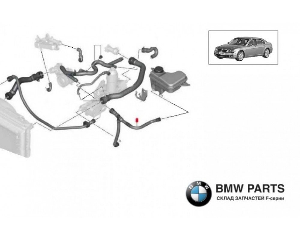 2249461 | Шланг системи охолодження