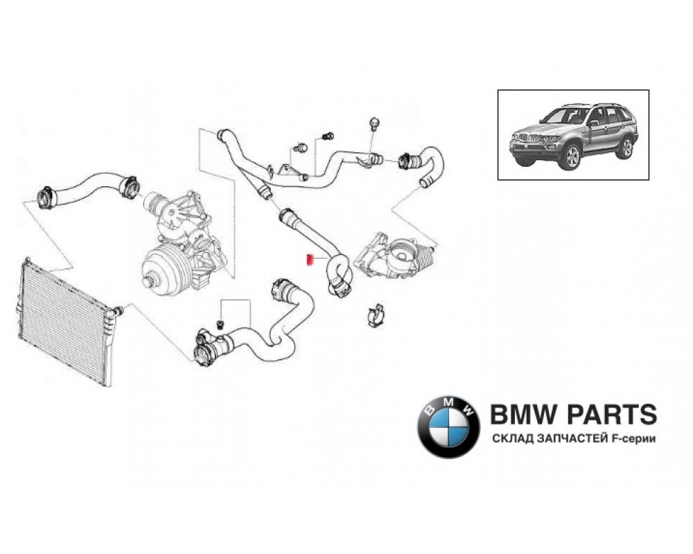 2248148 | Шланг системи охолодження