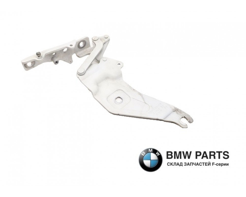 7198617 7198618 | Петля капота LR