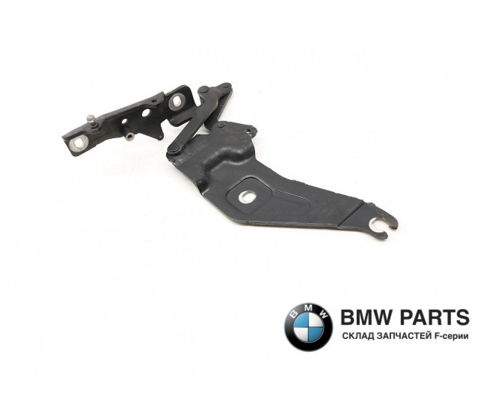 7198617 7198618 | Петля капота LR