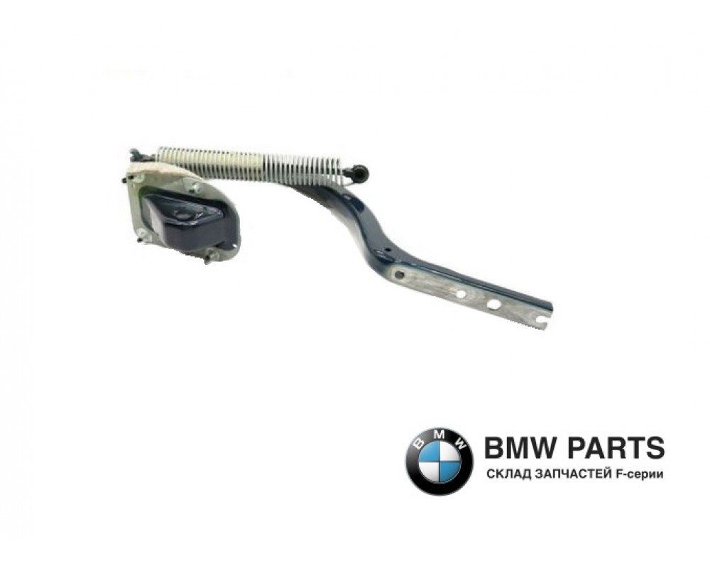 7185253 7185254 7204237 7204238 | Петля багажних дверей LR